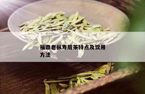 福鼎老枞寿眉茶特点及饮用方法