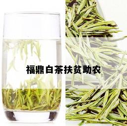 福鼎白茶扶贫助农