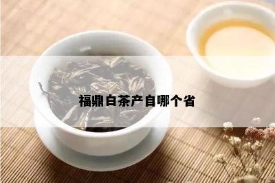 福鼎白茶产自哪个省