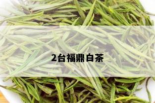 2台福鼎白茶