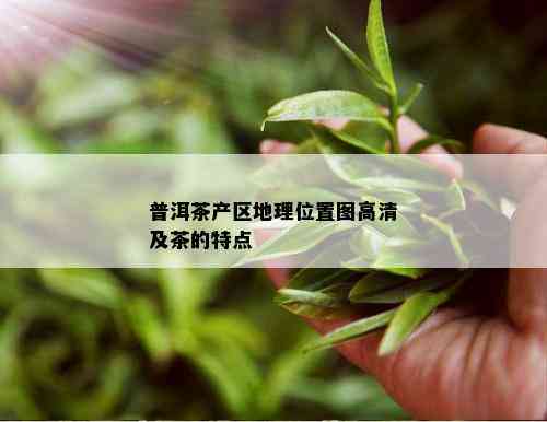 普洱茶产区地理位置图高清及茶的特点