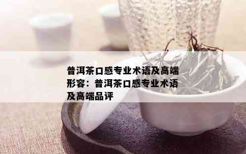 普洱茶口感专业术语及高端形容：普洱茶口感专业术语及高端品评