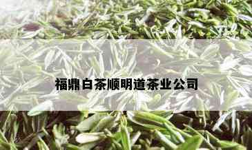 福鼎白茶顺明道茶业公司