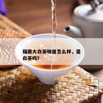 福鼎大白茶味道怎么样，是白茶吗？