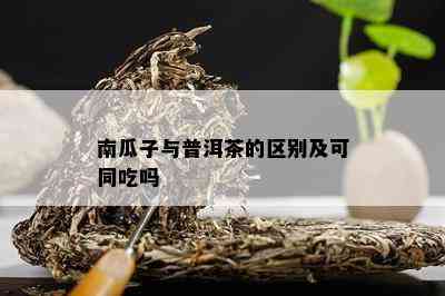 南瓜子与普洱茶的区别及可同吃吗