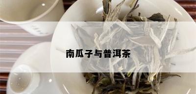 南瓜子与普洱茶