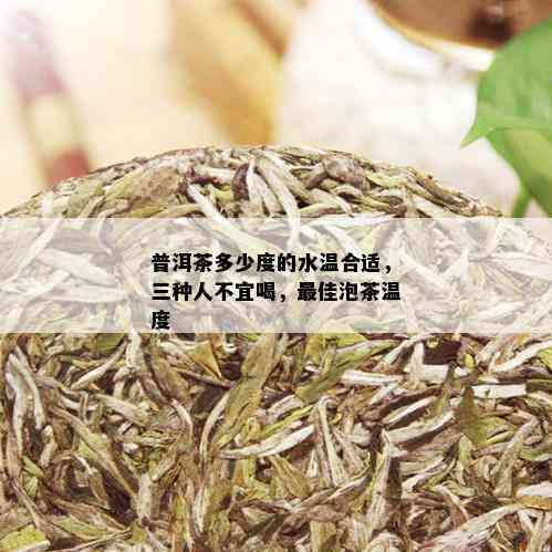 普洱茶多少度的水温合适，三种人不宜喝，更佳泡茶温度