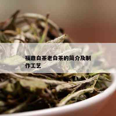 福鼎白茶老白茶的简介及制作工艺