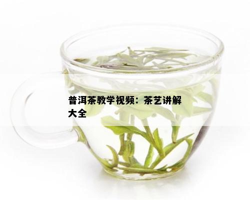 普洱茶教学视频：茶艺讲解大全