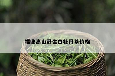 福鼎高山野生白牡丹茶价格