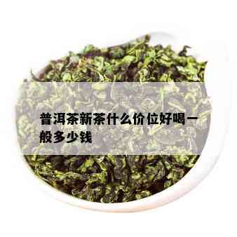 普洱茶新茶什么价位好喝一般多少钱