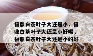 福鼎白茶叶子大还是小，福鼎白茶叶子大还是小好喝，福鼎白茶叶子大还是小的好