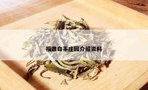 福鼎白茶庄园介绍资料