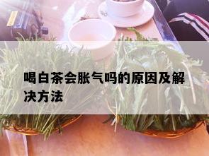 喝白茶会胀气吗的原因及解决方法