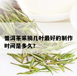 普洱茶采摘几叶更好的制作时间是多久？