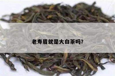 老寿眉就是大白茶吗？