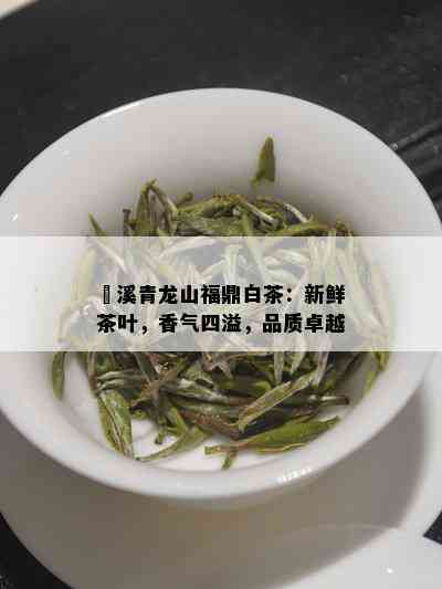 磻溪青龙山福鼎白茶：新鲜茶叶，香气四溢，品质卓越