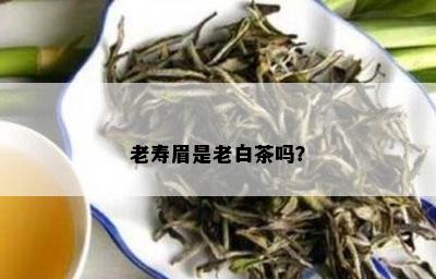 老寿眉是老白茶吗？