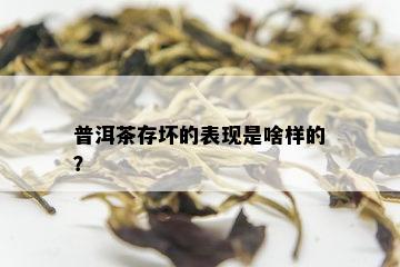 普洱茶存坏的表现是啥样的？