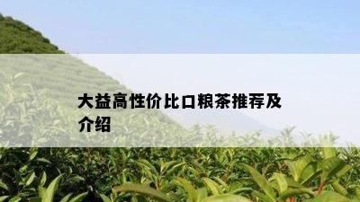 大益高性价比口粮茶推荐及介绍