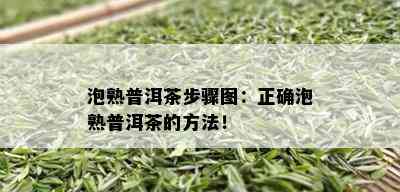 泡熟普洱茶步骤图：正确泡熟普洱茶的方法！