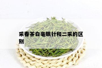 采春茶白毫银针和二采的区别