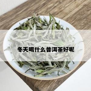 冬天喝什么普洱茶好呢