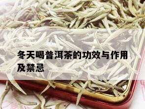 冬天喝普洱茶的功效与作用及禁忌