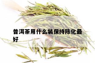 普洱茶用什么装保持陈化更好