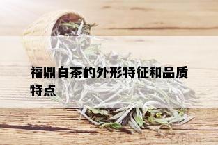 福鼎白茶的外形特征和品质特点