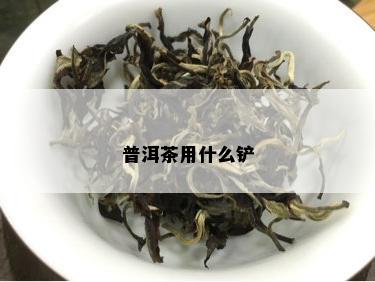 普洱茶用什么铲