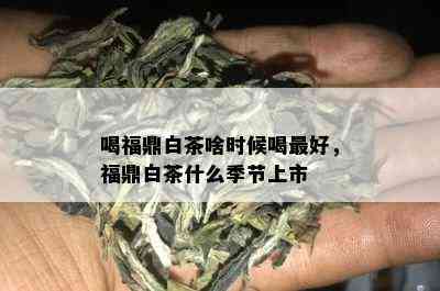 喝福鼎白茶啥时候喝更好，福鼎白茶什么季节上市