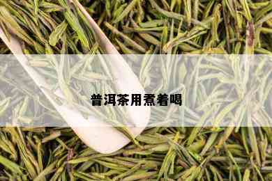 普洱茶用煮着喝