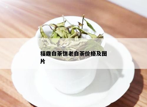 福鼎白茶饼老白茶价格及图片