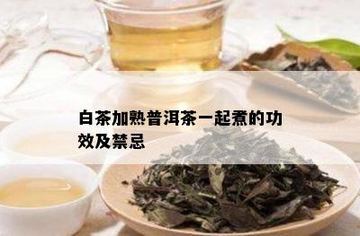 白茶加熟普洱茶一起煮的功效及禁忌