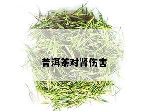 普洱茶对肾伤害