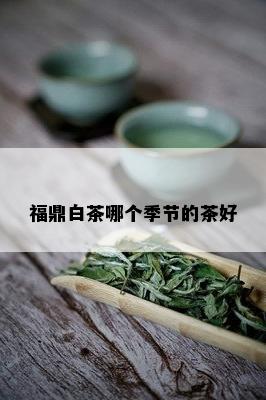 福鼎白茶哪个季节的茶好