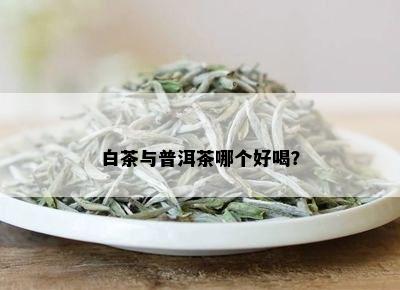 白茶与普洱茶哪个好喝？