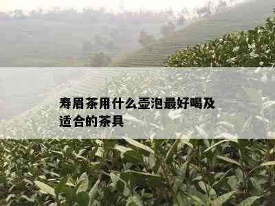 寿眉茶用什么壶泡更好喝及适合的茶具