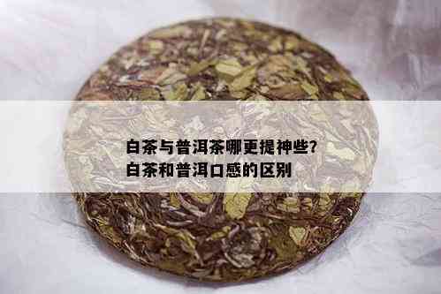 白茶与普洱茶哪更提神些？白茶和普洱口感的区别