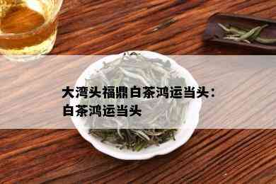 大湾头福鼎白茶鸿运当头：白茶鸿运当头