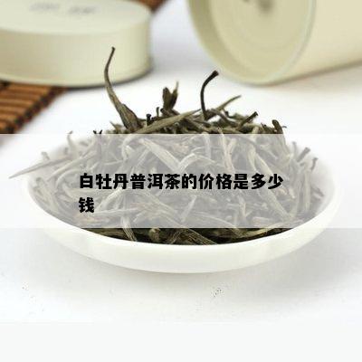 白牡丹普洱茶的价格是多少钱