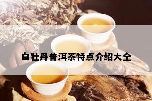 白牡丹普洱茶特点介绍大全