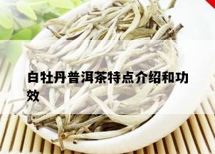 白牡丹普洱茶特点介绍和功效