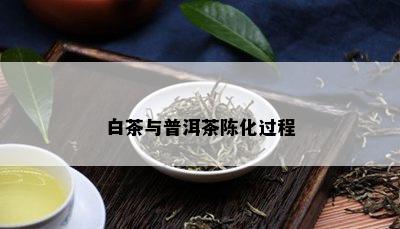 白茶与普洱茶陈化过程