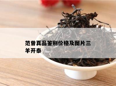 范曾真品鉴别价格及图片三羊开泰