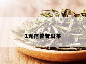 1克范曾普洱茶