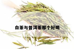 白茶与普洱茶那个好喝