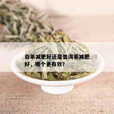 白茶减肥好还是普洱茶减肥好，哪个更有效？