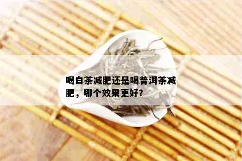 喝白茶减肥还是喝普洱茶减肥，哪个效果更好？